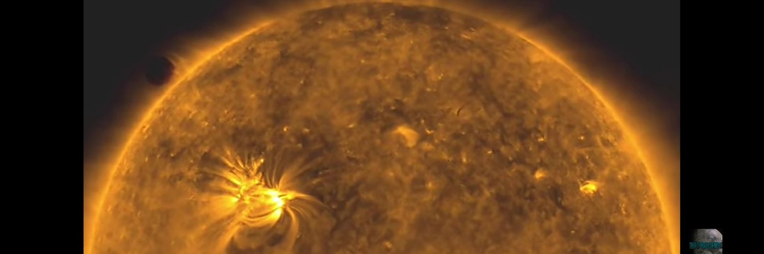 TMcAfee's profile banner image