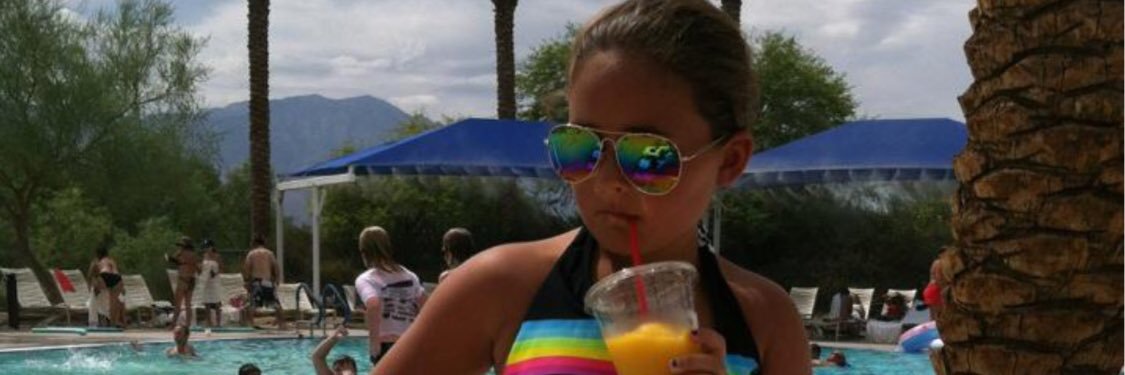 scott de stefano banner