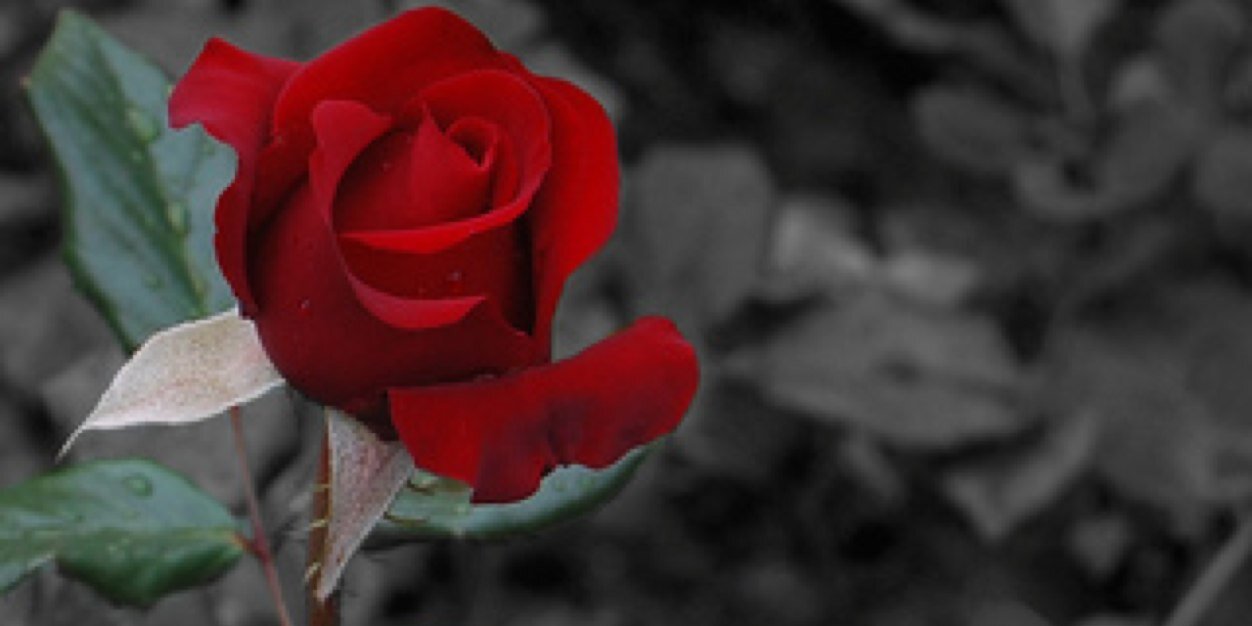 _LtyEz's profile banner image
