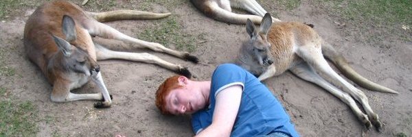 safabric Profile Banner