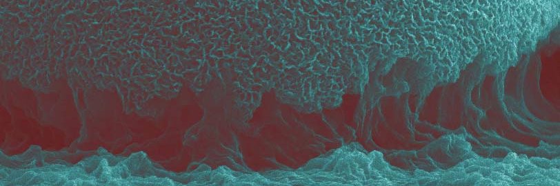 IsabelBLeonor's profile banner image
