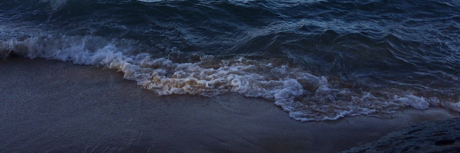 laisramosg_'s profile banner image