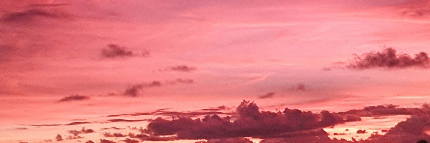dickystwn_'s profile banner image