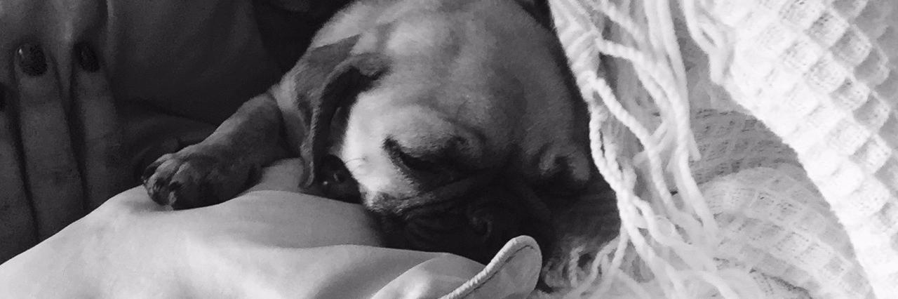 bugjackson's profile banner image