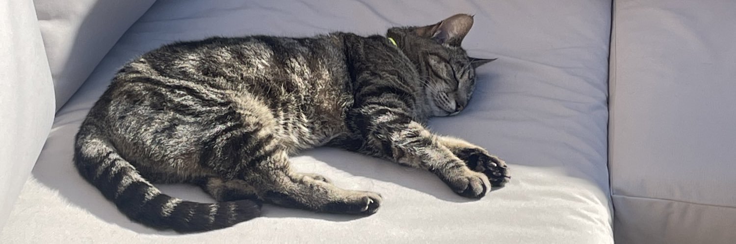 Lynn 🐝🐞🌳🌼 banner