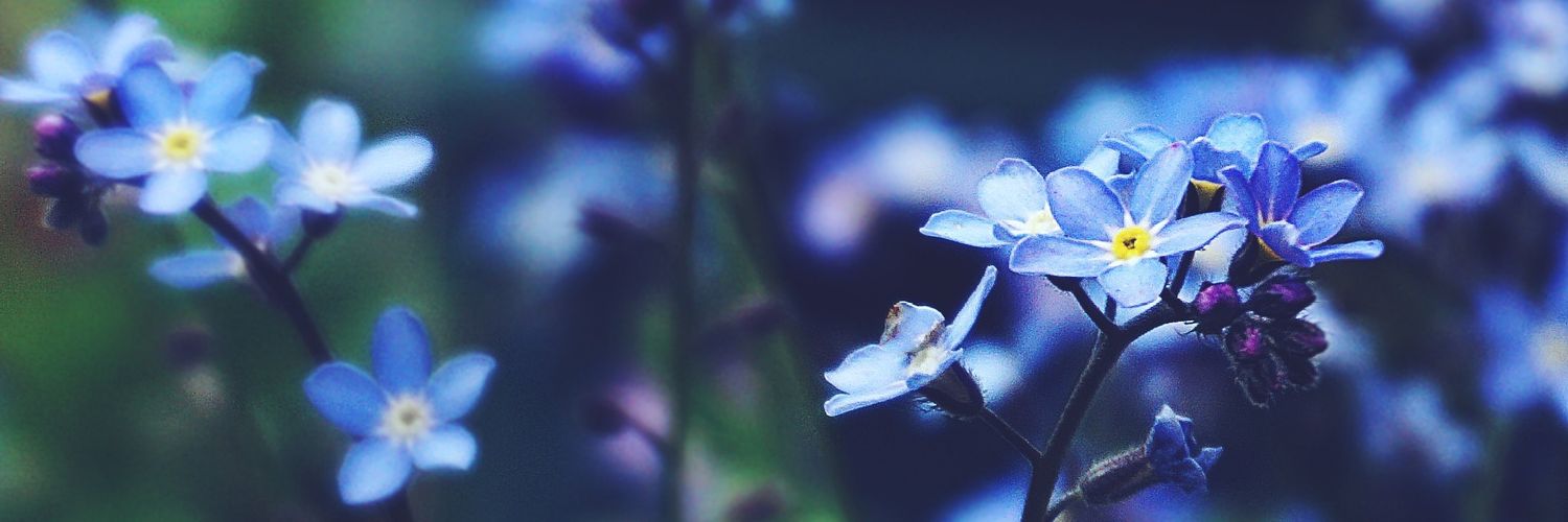 Dj0sl4's profile banner image