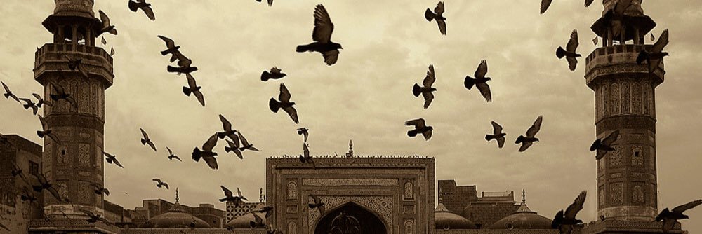 wfzsff's profile banner image