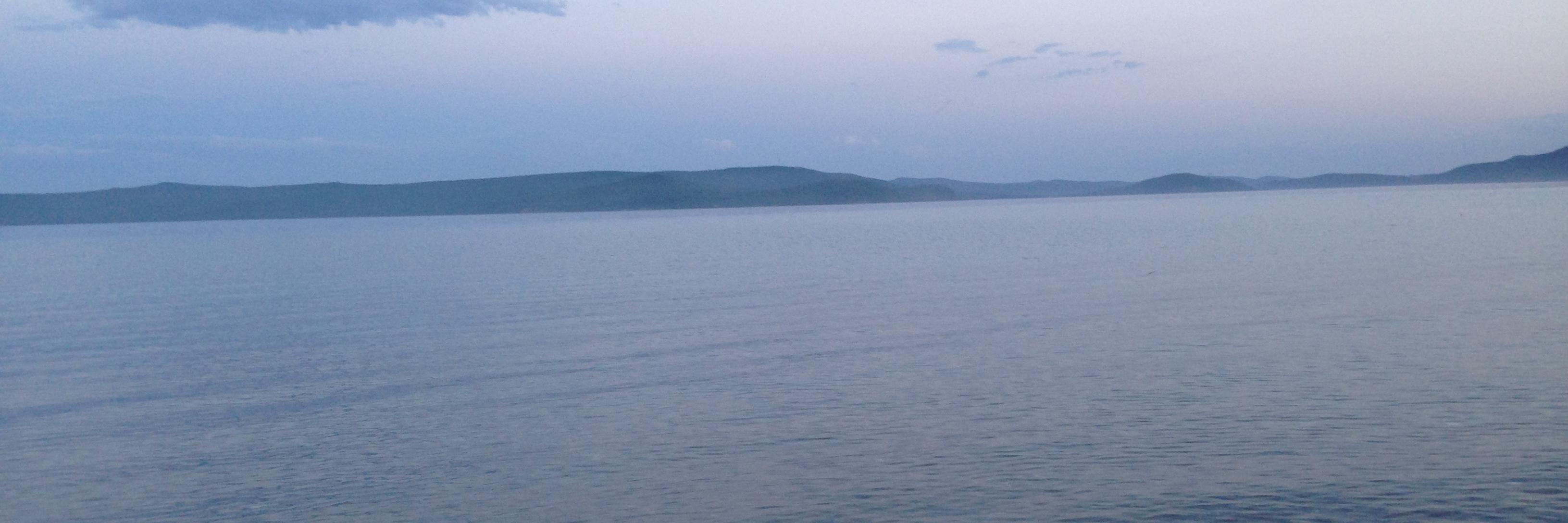 shavlai's profile banner image