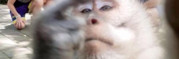 mistlef0e Profile Banner