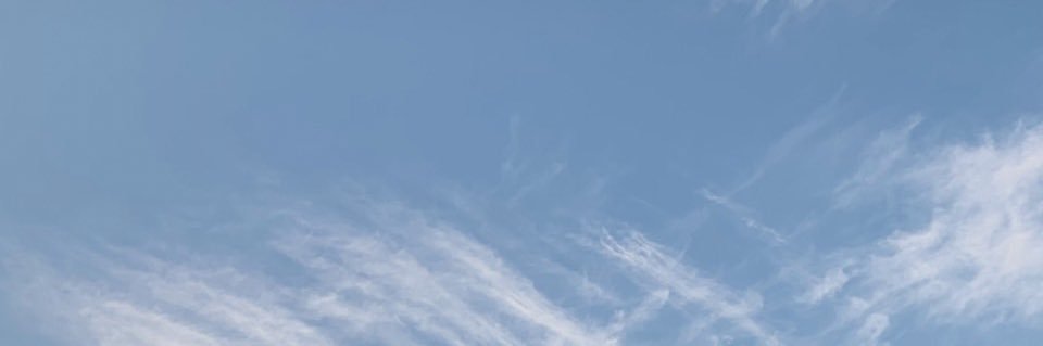 saharassas's profile banner image