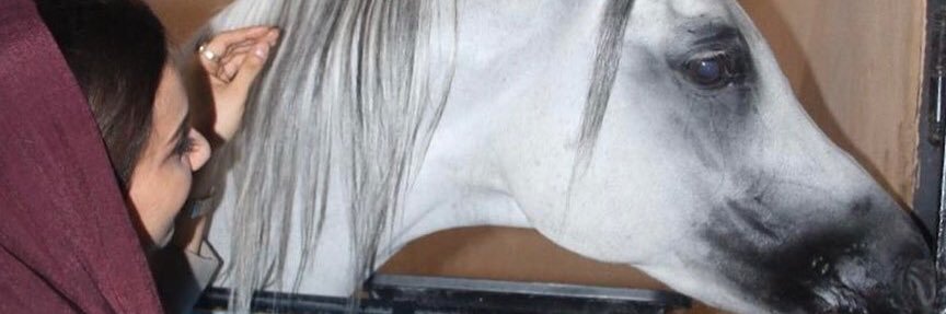 الاعلامية 🎖️سارا العثمان banner