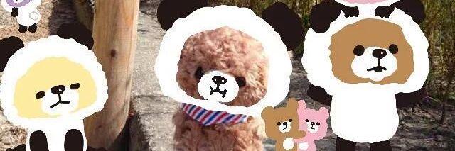 satoukumao's profile banner image