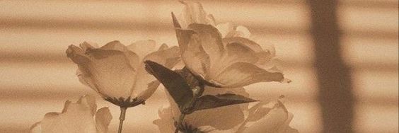 auhmex's profile banner image