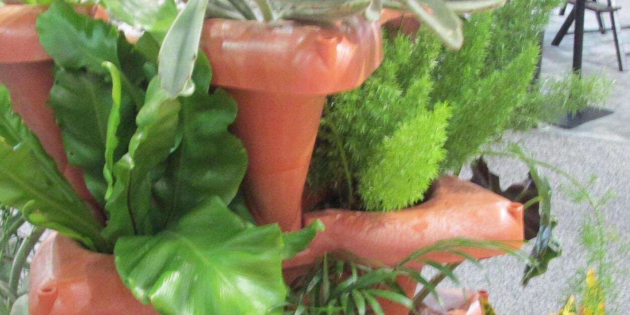 GrowUpHydroG's profile banner image
