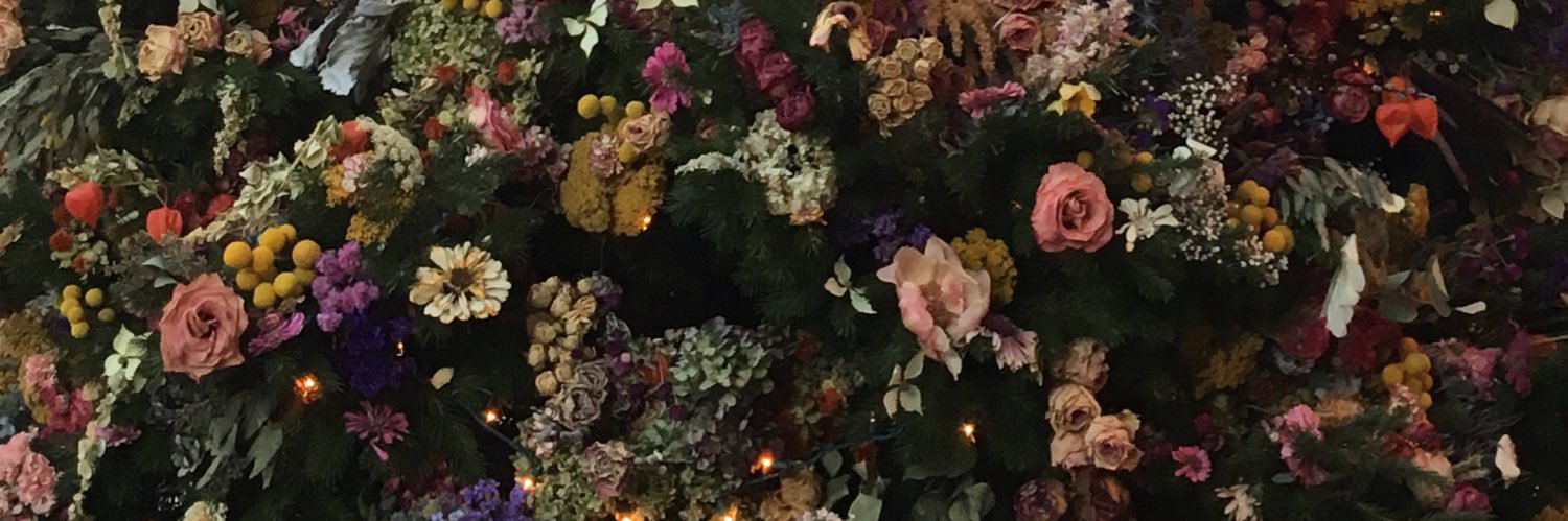 danarose_22's profile banner image