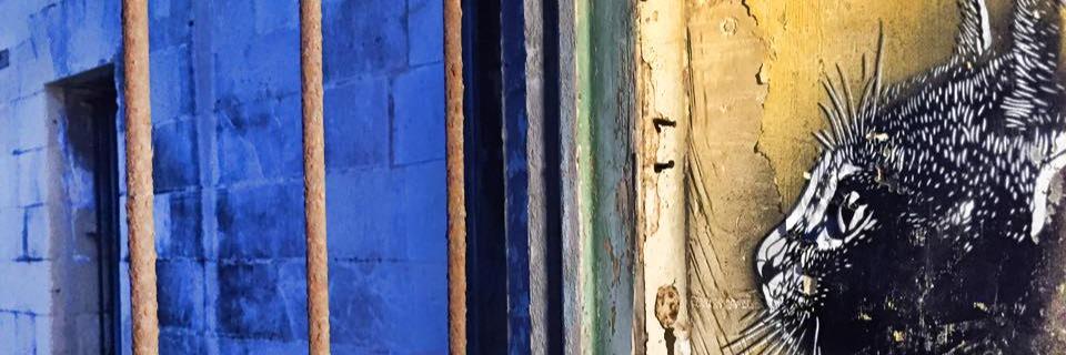 Catmandoulechat's profile banner image