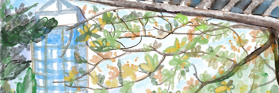 colinnfteth's profile banner image