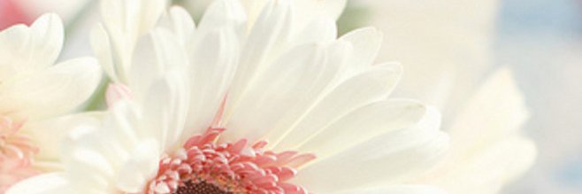 ramawida22's profile banner image