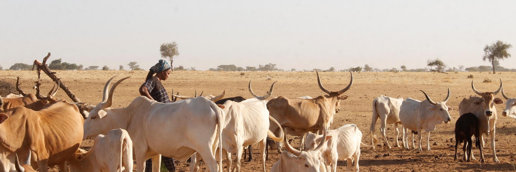 Sofia Christensen banner
