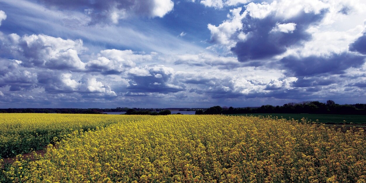 AB Farmer Express banner