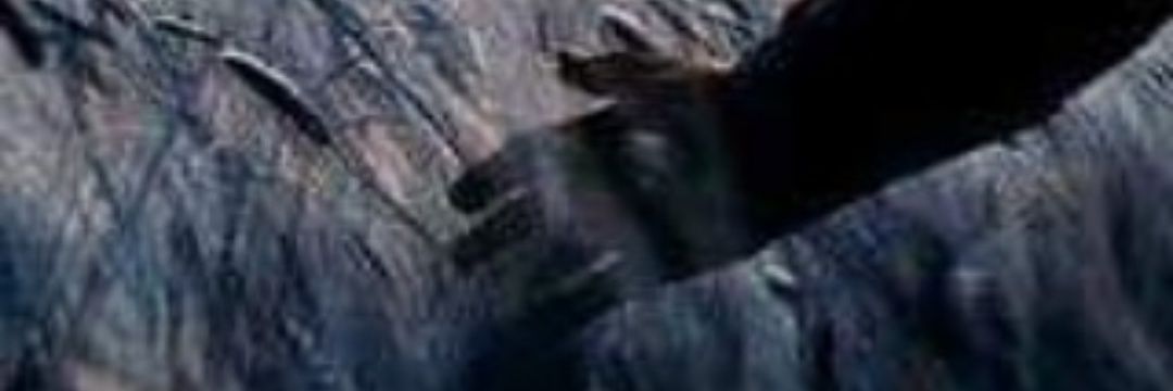 rebornn06's profile banner image