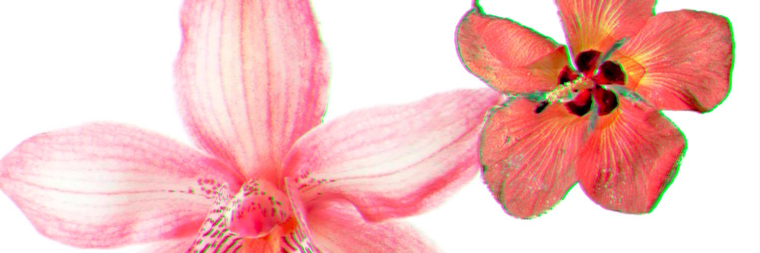 harryonika's profile banner image