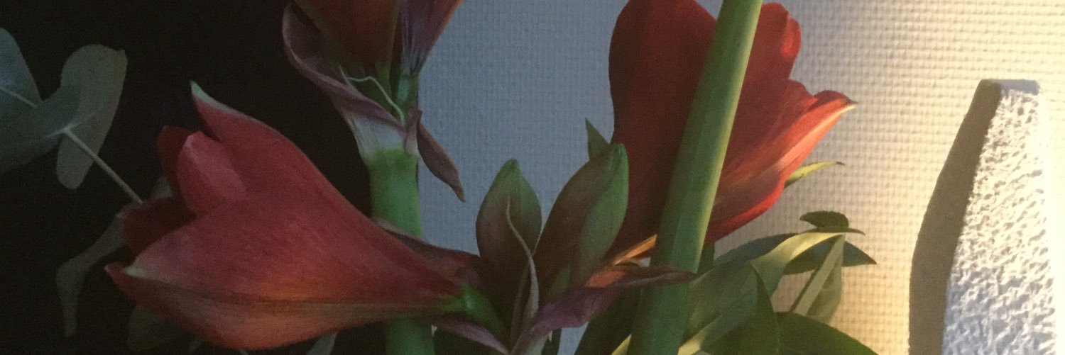 WouterVanRennes's profile banner image