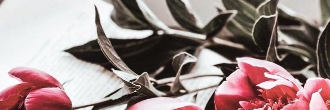 malikahnajibah's profile banner image