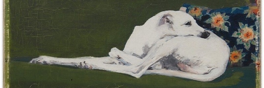 wowraina's profile banner image