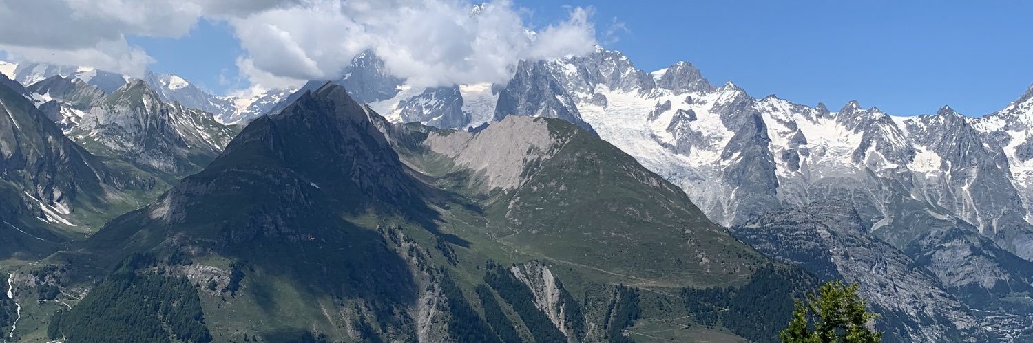 lisa dransfield banner