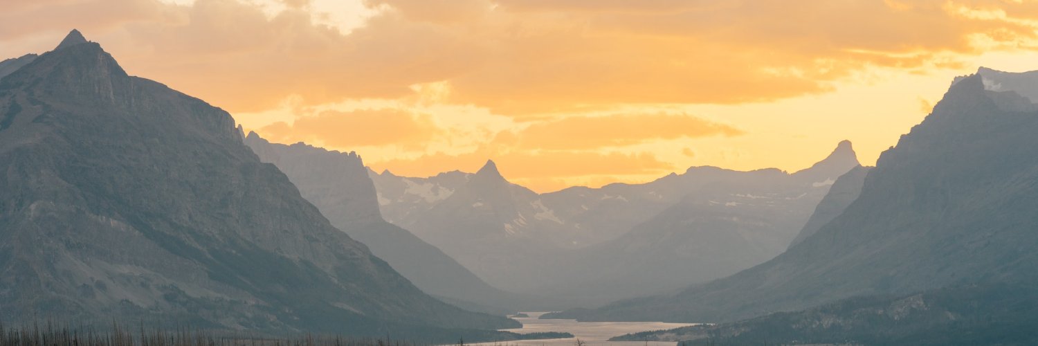 boldforfreedoms's profile banner image
