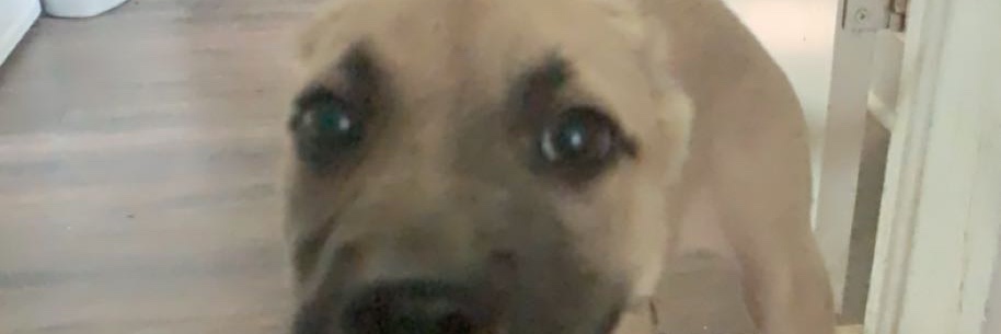 Luke_DeVore's profile banner image