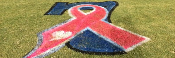 SWUSoftball Profile Banner
