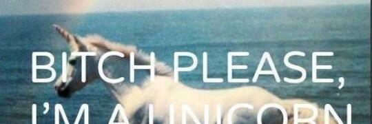 VanderBlondasse banner