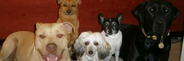 ZippyMD Profile Banner