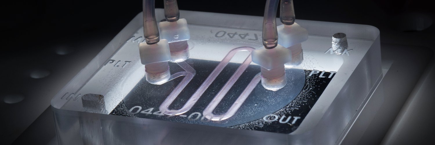 PlateletBio's profile banner image