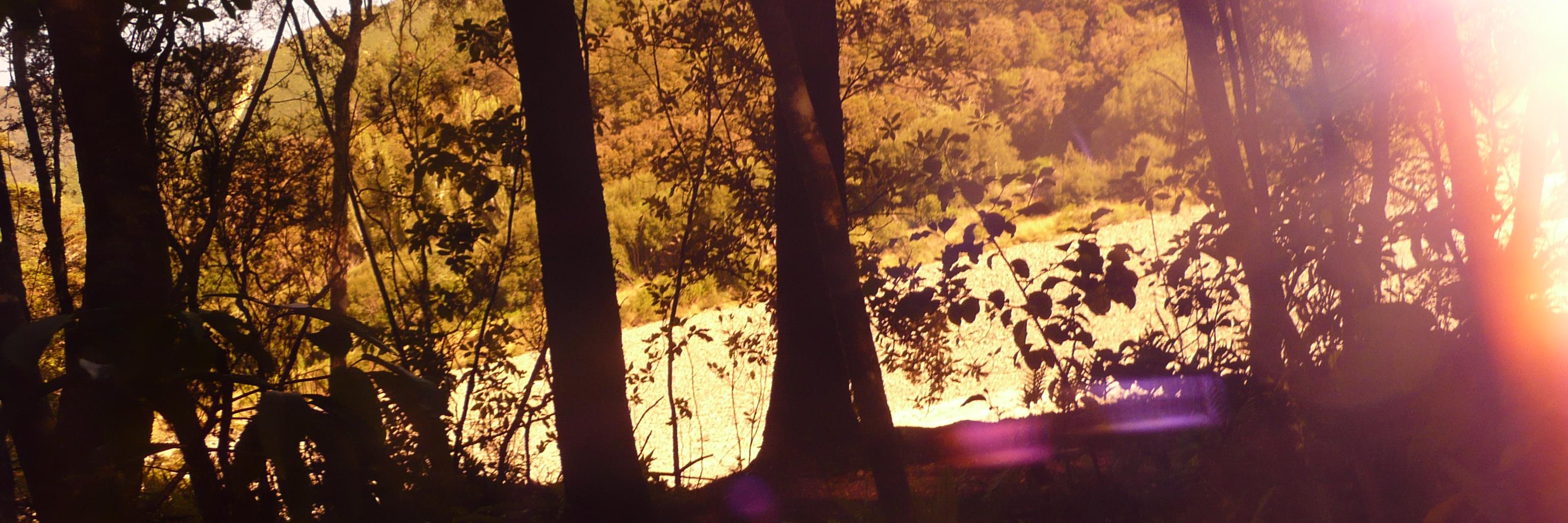 lil94_'s profile banner image