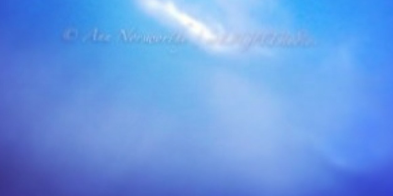 ioLIGHT_ann's profile banner image