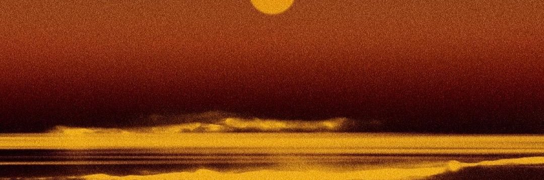 l1zbethm's profile banner image