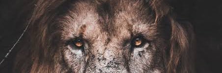 PresidentJimmyQ's profile banner image
