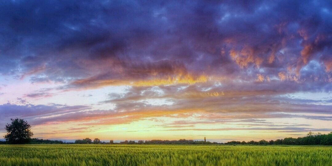 Steven Swinnen banner