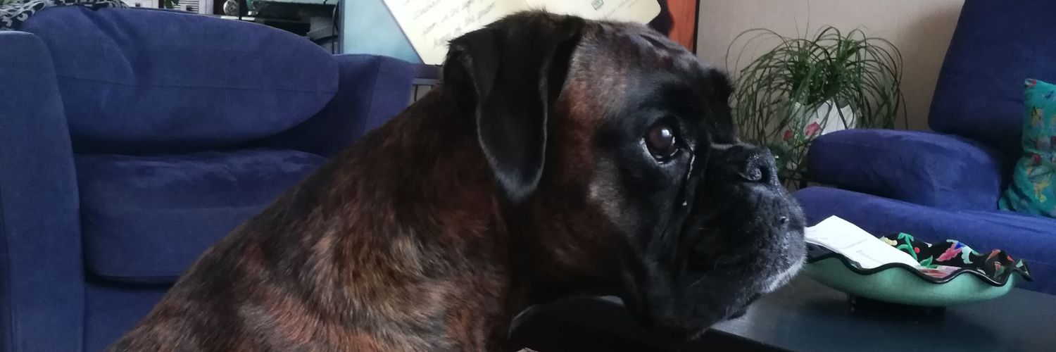 GregKrob's profile banner image