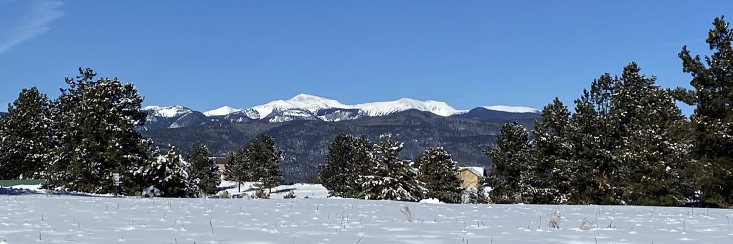 Rhonda Collins, DNP, RN, FAAN banner