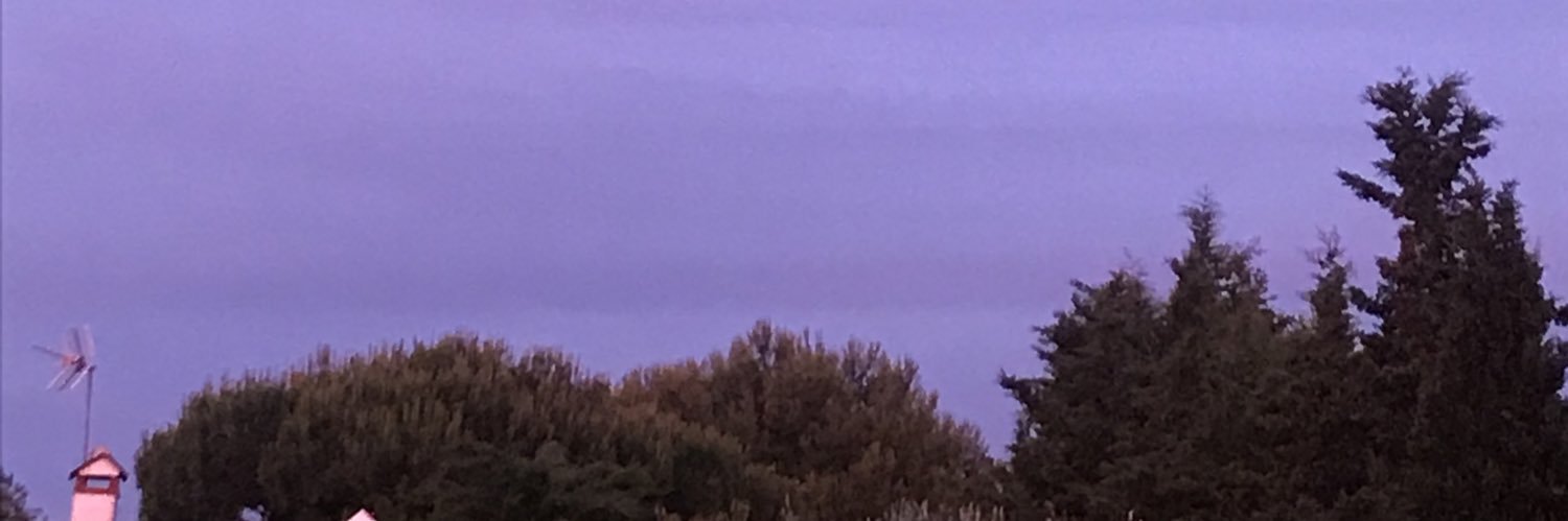 celswords's profile banner image