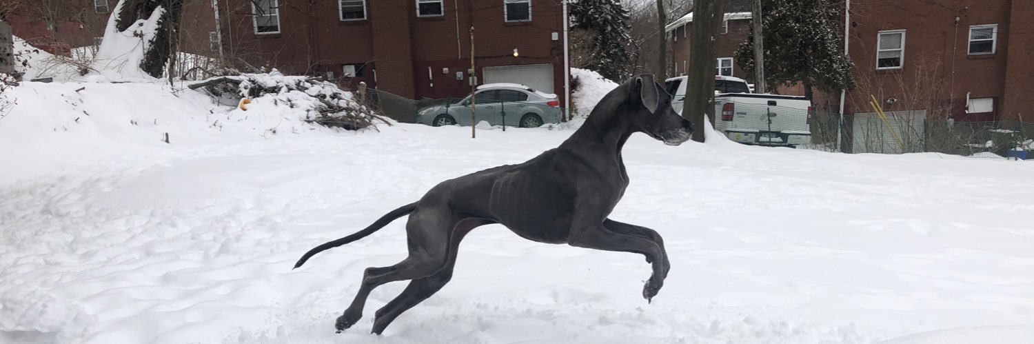 AaronStaskooo's profile banner image