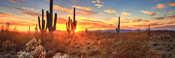 RPMTurf Profile Banner