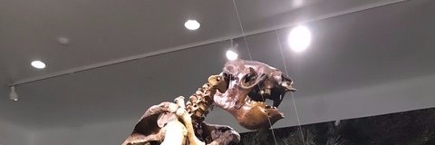 PaulHLaurn's profile banner image