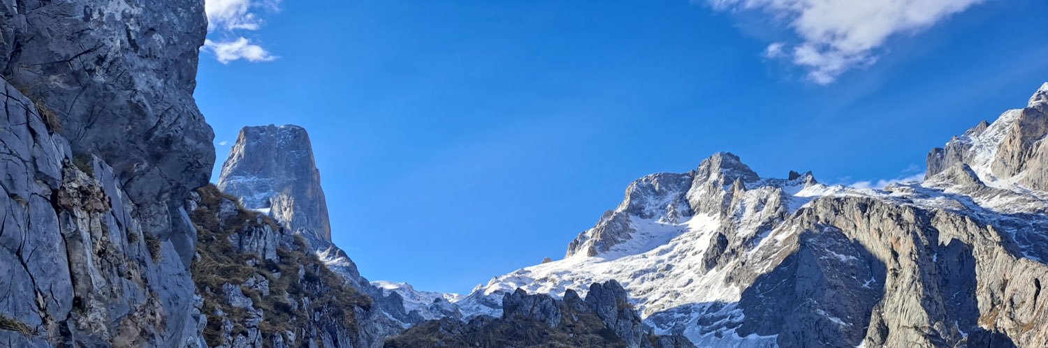 ⓒⓐⓝⓓⓘⓓⓞ banner