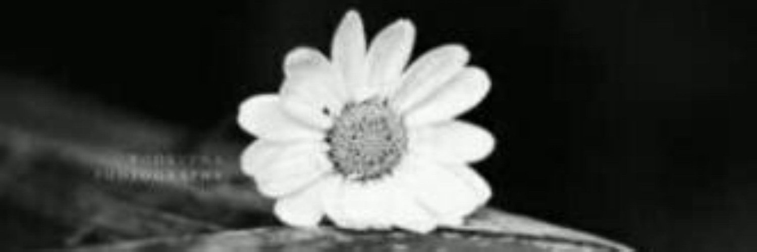 R_B0585's profile banner image