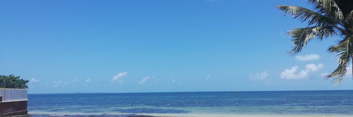AbogadaJuno's profile banner image